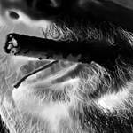 Mr. Eastwood