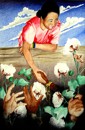 the cotton field